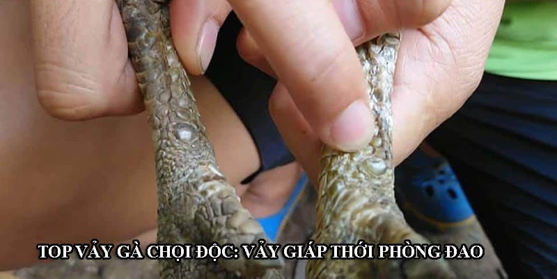 Giáp thới phòng đao cực hiếm và độc